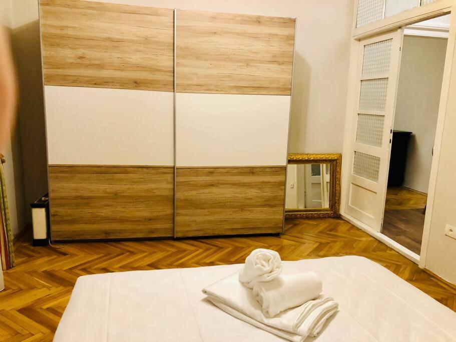 Ultra-Central And Elegant Ap In Opera Square Vic23 Тімішоара Екстер'єр фото