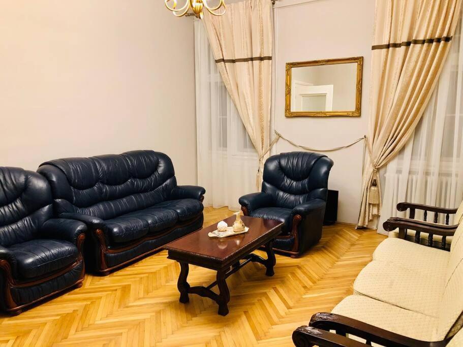Ultra-Central And Elegant Ap In Opera Square Vic23 Тімішоара Екстер'єр фото
