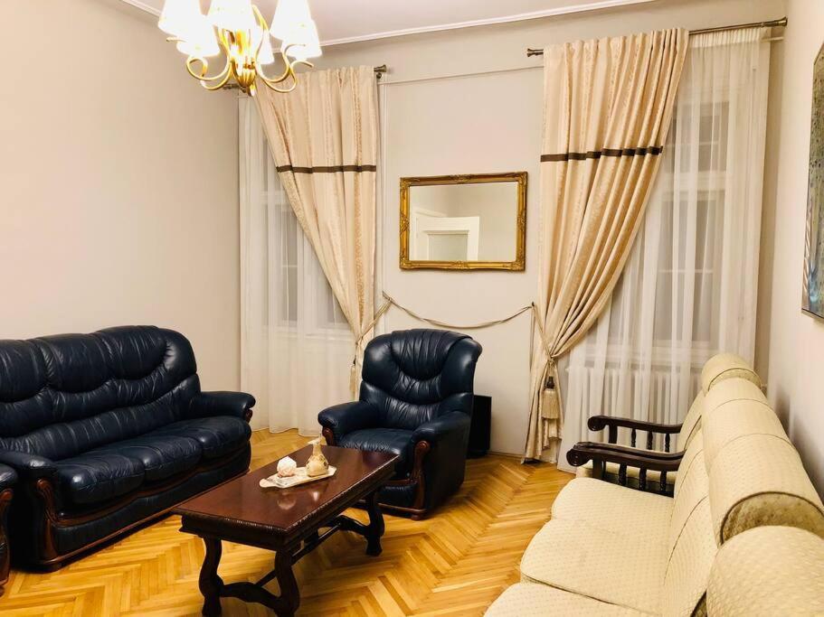 Ultra-Central And Elegant Ap In Opera Square Vic23 Тімішоара Екстер'єр фото