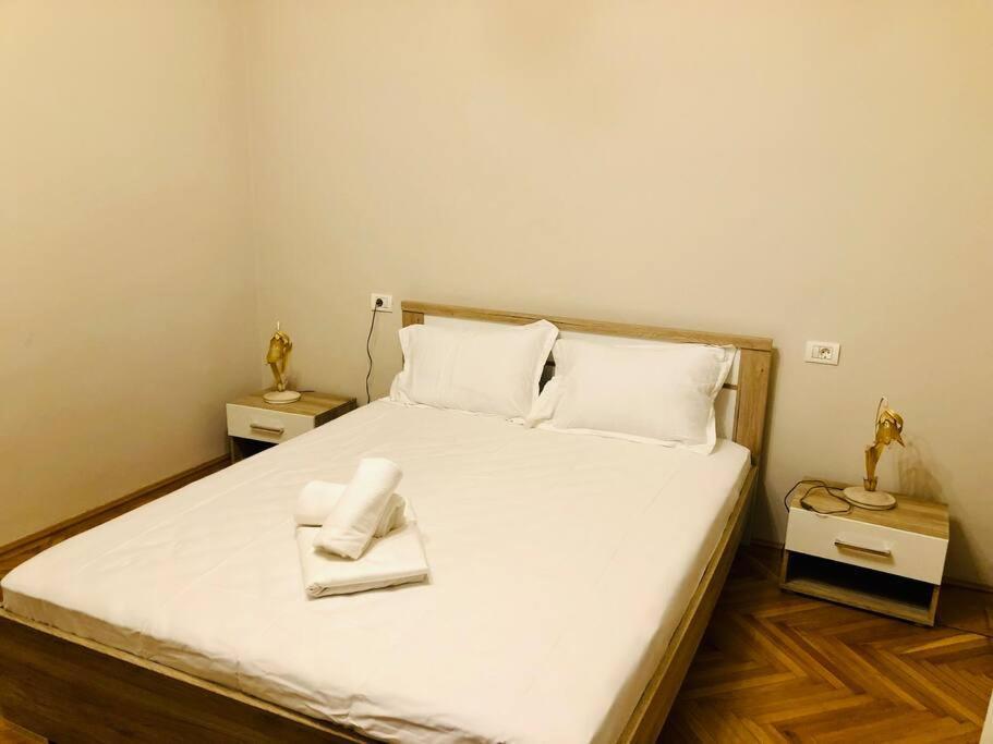 Ultra-Central And Elegant Ap In Opera Square Vic23 Тімішоара Екстер'єр фото