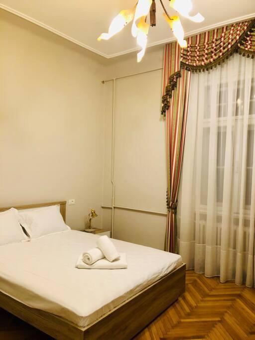 Ultra-Central And Elegant Ap In Opera Square Vic23 Тімішоара Екстер'єр фото